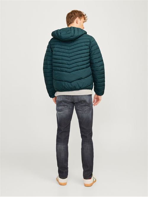  JACK AND JONES | 12256983/Magical Forest